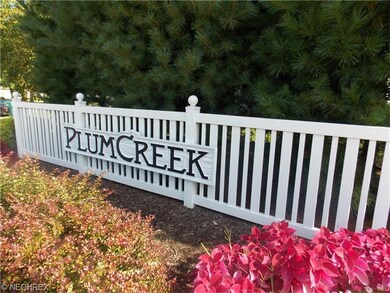 9613 Grist Mill Run, Olmsted Falls, OH 44138 - photo 6