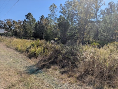 11228 Fool Duck Ave, Weeki Wachee, FL 34613 - photo 2