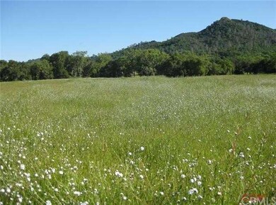 Meadow on Northside of Lynch Cyn Rd. best viewed f