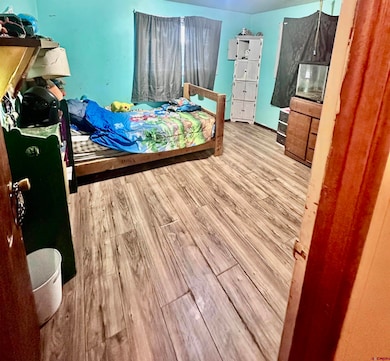 14211 Highway 65, Eckert, CO 81418 - photo 6