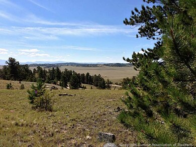 33 Jasper Way, Hartsel, CO 80449 - photo 3
