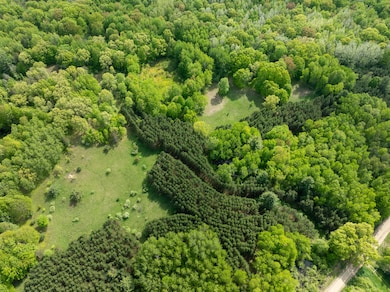 80 E 24th St, Pinora Township, MI 49677 - photo 6