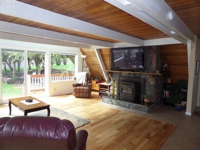 Fireplace Pellet Stove