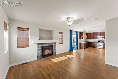 11508 Black Maple Ln, Colorado Springs, CO 80921 - photo 5