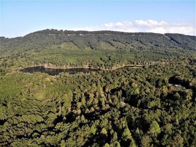 Lot 20 Plum St, Rocky Face, GA 30740 - photo 7