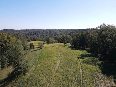 1551 Buck Smith Rd, Palmyra, TN 37142 - photo 2