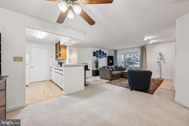 13702 Modrad Way, Silver Spring, MD 20904 - photo 6