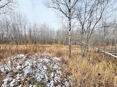 00 S Riverside Dr, Sault Ste. Marie, MI 49783 - photo 2