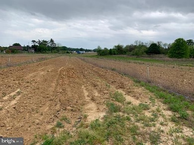 0 Cecilton Warwick Rd unit MDCC2018578, Warwick, MD 21912 - photo 7