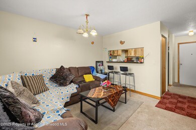 1527 Blake Ave unit 207, Glenwood Springs, CO 81601 - photo 4