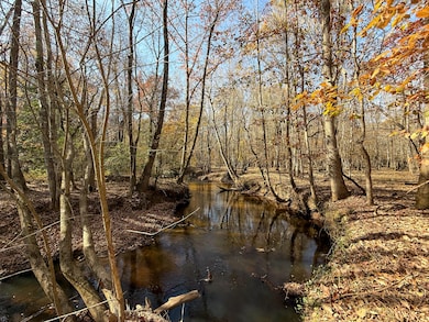 0 State Road S-28-87, Bethune, SC 29009 - photo 3