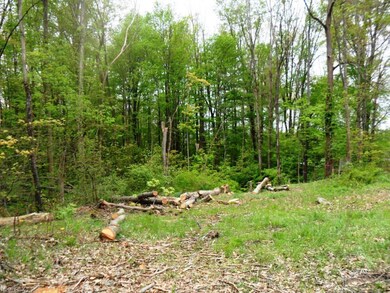 0 Rosalind unit 3999488, Rootstown, OH 44272 - photo 2