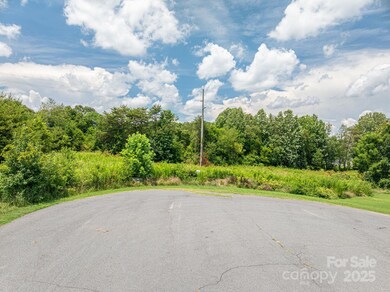 000 Flag Ln unit 53, Vale, NC 28168 - photo 7