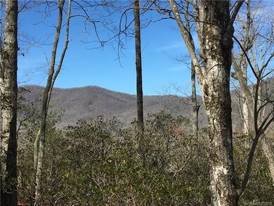 499 Walnut Valley Pkwy unit 132, Arden, NC 28704 - photo 5