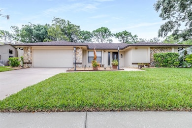 3404 Brian Rd S, Palm Harbor, FL 34685 - photo 2