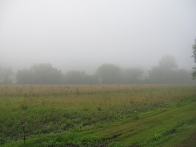 Open Farm Land