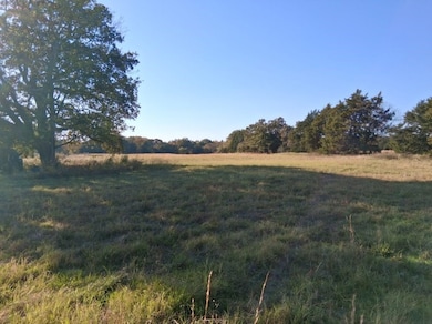 1071 Cr 2205, Ivanhoe, TX 75447 - photo 6