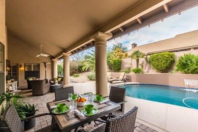 Back Yard1