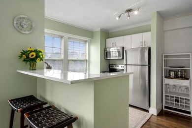 The Charlesview unit 307, Boston, MA 02215 - photo 6
