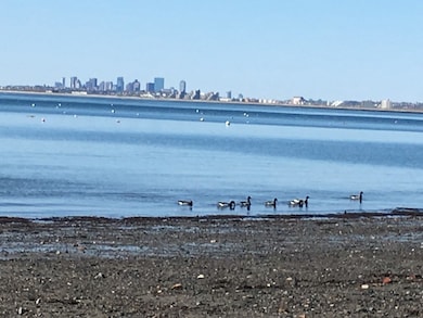 610 Humphrey St unit 1, Swampscott, MA 01907 - photo 7