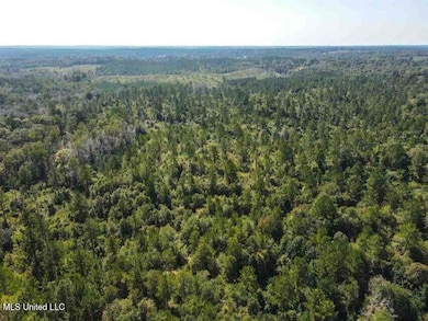 20210917124703667397000000-o