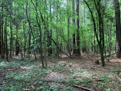 2190 Ernest A Thompson Rd, Ruth, MS 39662 - photo 6