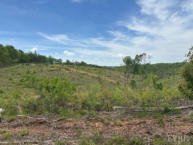 LOT 1 Leesville Rd, Lynch Station, VA 24571 - photo 4