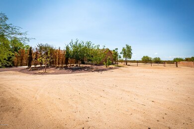0003-Cactus Wren4