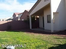 BACKYARD 1