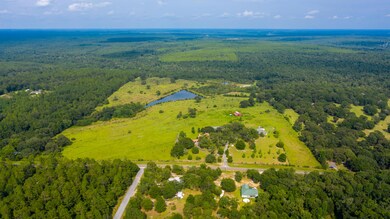6333 Co Rd 393 Aerial-1