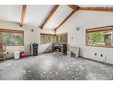 8451 Colorado 7, Allenspark, CO 80510 - photo 7