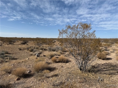 3 Lots W Gateway Acres Rd, Dolan Springs, AZ 86441 - photo 4