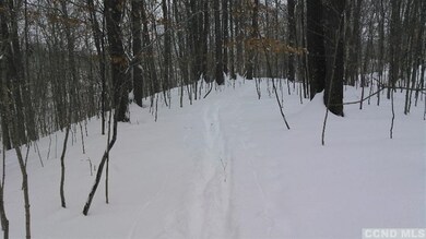 0 - Lot 213 Sleepy Hollow Rd, Athens, NY 12015 - photo 2