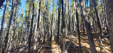 Lot 2682 & 2683 Purnell Ln unit 2682,2683, Fort Garland, CO 81133 - photo 5