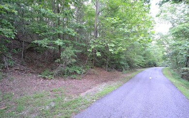 Additional View