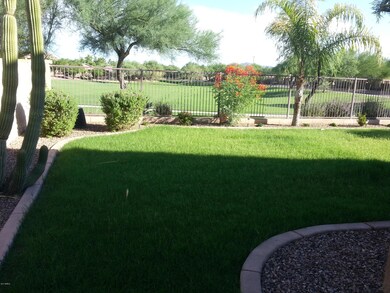 Grass Backyard