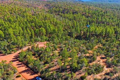 0 Fawn Dr unit 93199, Pine, AZ 85544 - photo 5