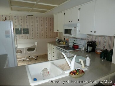 6184 Burning Tree Ln, Spring Hill, FL 34606 - photo 6