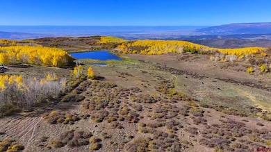33339 Oak Mesa Rd, Hotchkiss, CO 81419 - photo 5