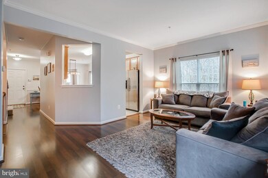 46427 Munley Ln, Lexington Park, MD 20653 - photo 5