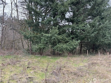 32534 44th Ave S, Federal Way, WA 98001 - photo 5