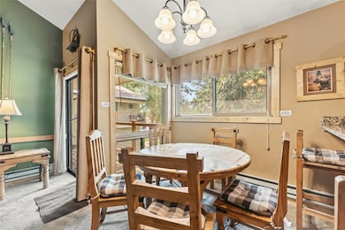 Dining room with carpet, a chandelier, plenty of natural light, lofted ceiling, and a baseboard radiator