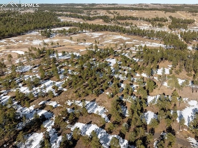 12196 Goodson Rd, Colorado Springs, CO 80908 - photo 6