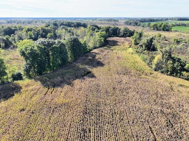 VL Hoffman Street Lot#wp001 St, Vandalia, MI 49095 - photo 4