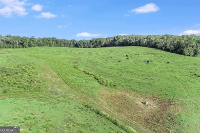 441 Expressway, Mount Airy, GA 30563 - photo 5