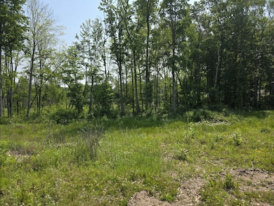 9421 Sassafras Trail unit 76, Portage, MI 49002 - photo 3