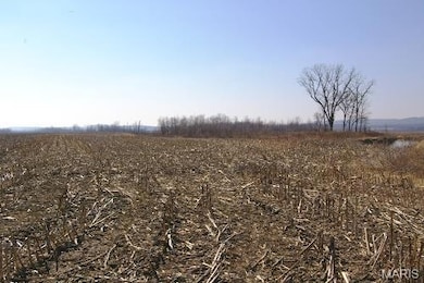 0 Norton Woods Rd unit 17073496, Elsberry, MO 63343 - photo 6