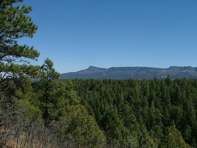 28 Puma Ct unit H13, Trinidad, CO - photo 7