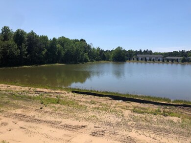Pond View