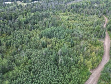 TBD Triple Creek Rd, Cornell, MI 49818 - photo 6